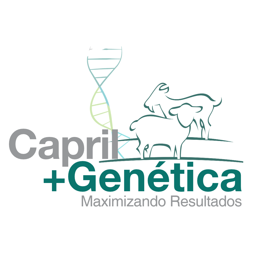 Capril +Genética